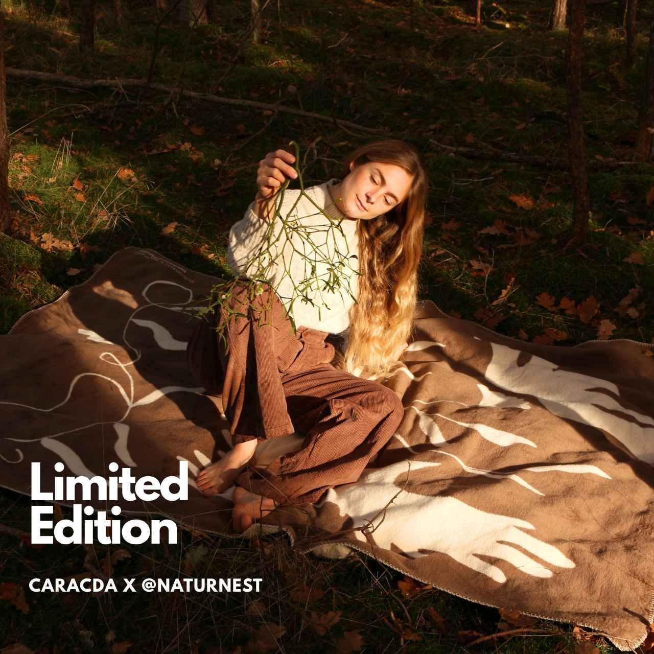 Wohndecke 430 • caracda x naturnest