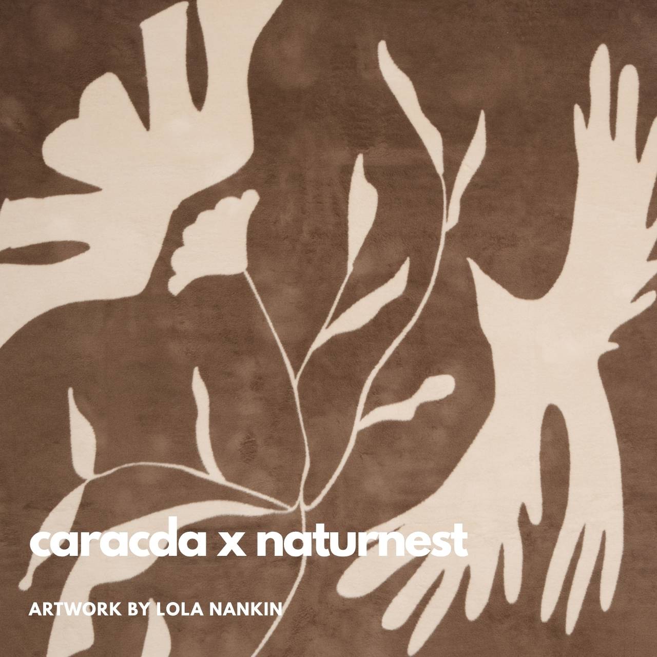 Wohndecke 430 • caracda x naturnest