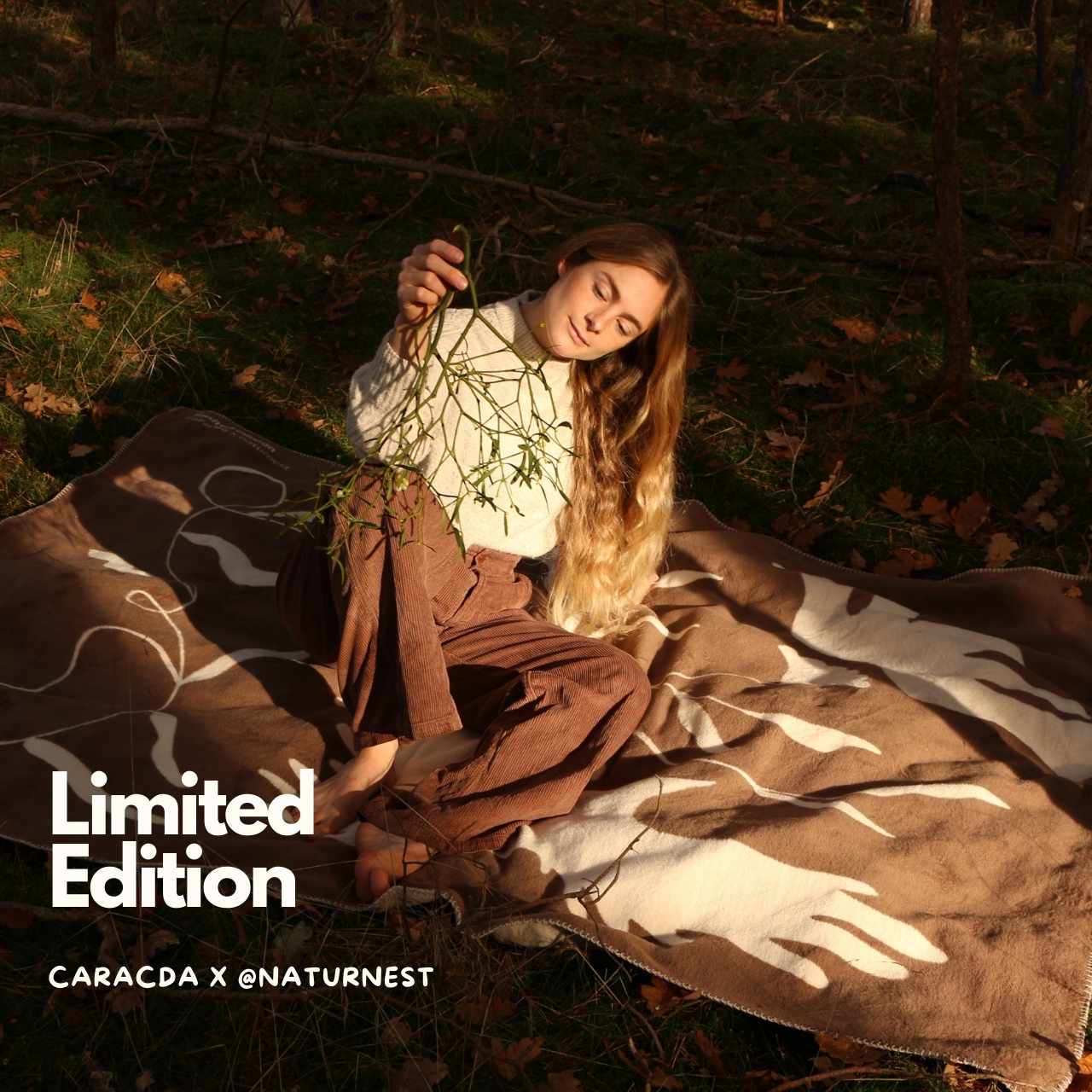 Baumwolldecke naturnest